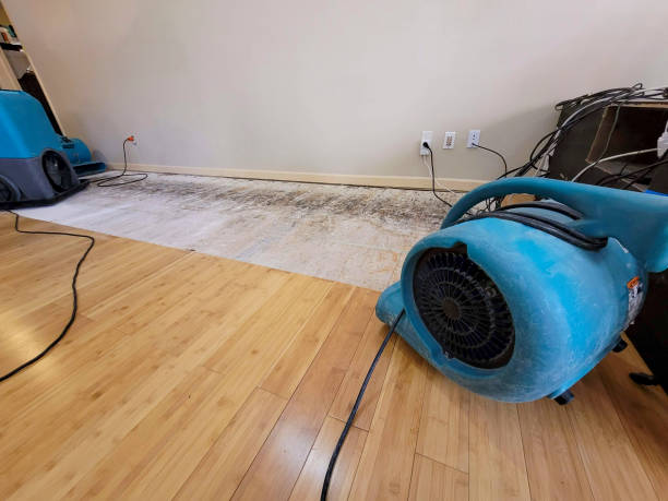Professional Burst Pipe Water Damage technician working in Allred, TN